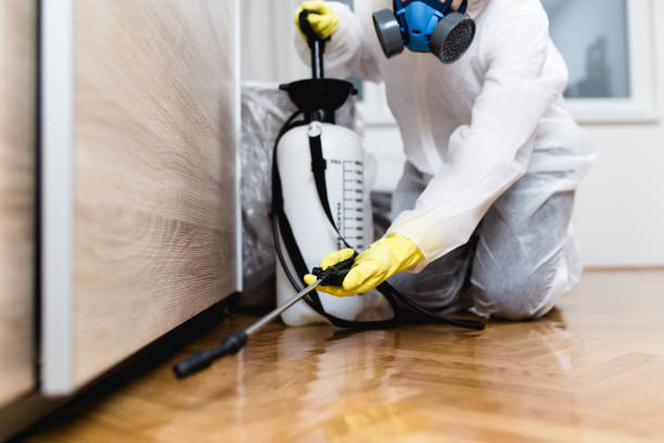 Pest Control Cost in Mount Vernon, GA