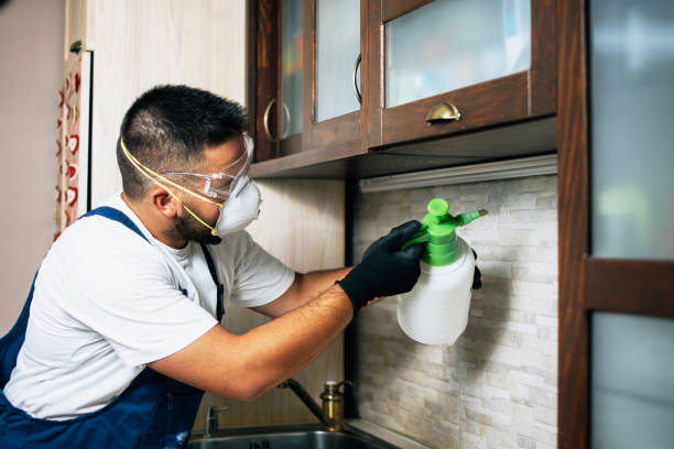 Best Pest Prevention Services  in Mount Vernon, GA
