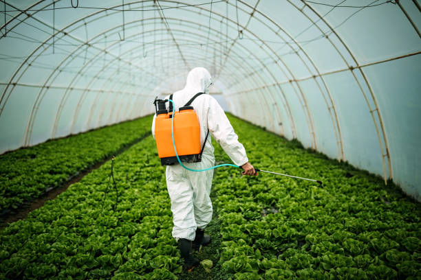 Best Commercial Pest Control Services  in Mount Vernon, GA