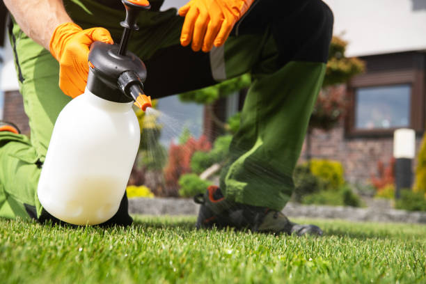 Best Bird Control  in Mount Vernon, GA