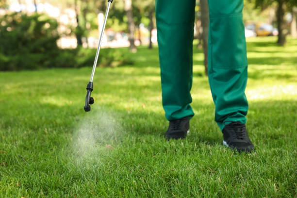 Best Emergency Pest Control  in Mount Vernon, GA