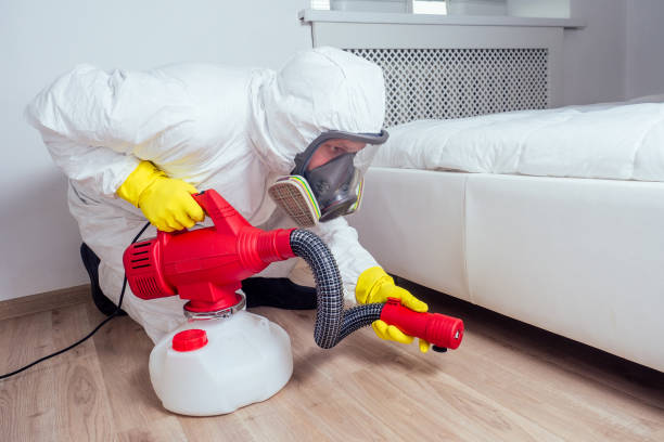 Best Mosquito Control Services  in Mount Vernon, GA