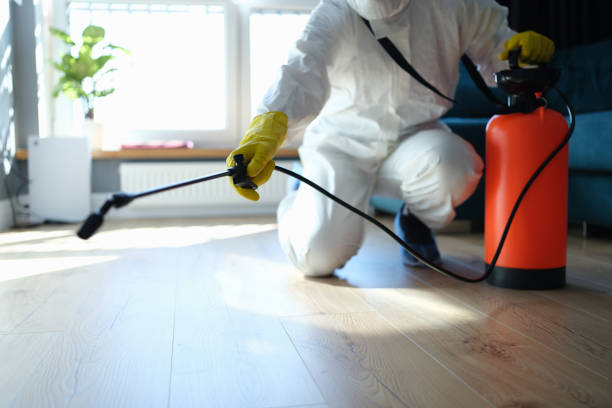 Best Flea Control Services  in Mount Vernon, GA