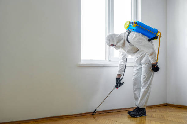Best Best Pest Control Companies  in Mount Vernon, GA