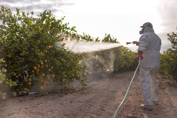 Best Pest Prevention Services  in Mount Vernon, GA
