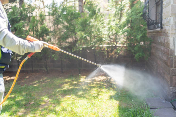 Best Ant Control Services  in Mount Vernon, GA