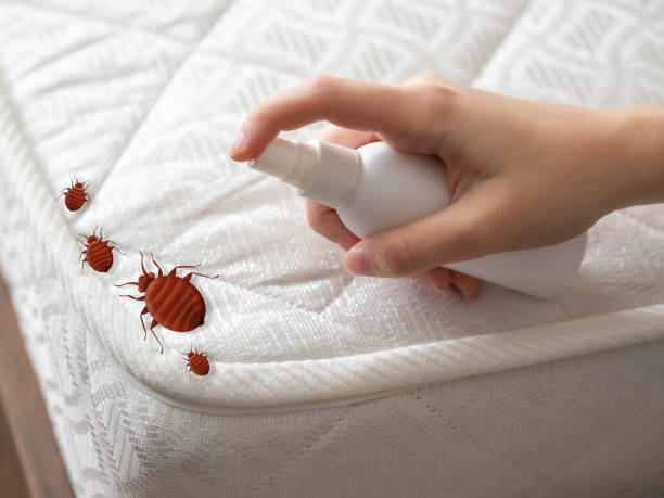 Best Wildlife Control Services  in Mount Vernon, GA