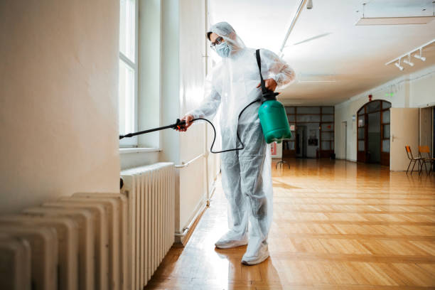Best Local Pest Control Services  in Mount Vernon, GA